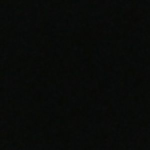 Meet your Posher, Maxine